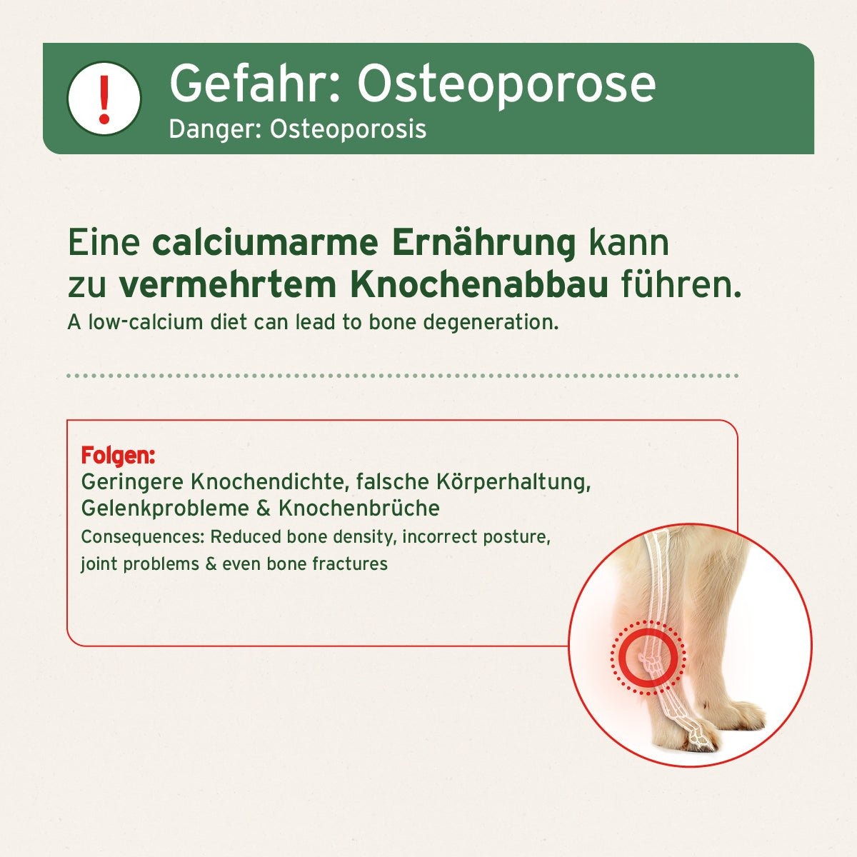 AniForte® BARF-Line Mleté Hovädzie Kosti – Obrázok 4