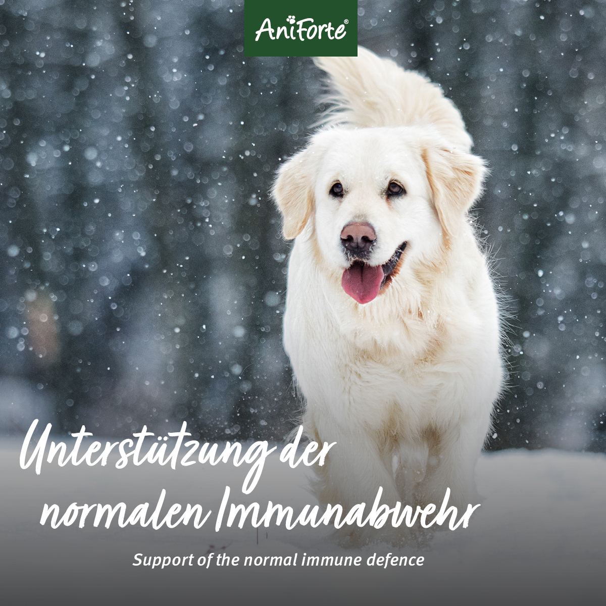 AniForte® Prémiové Kolostrum – Obrázok 4