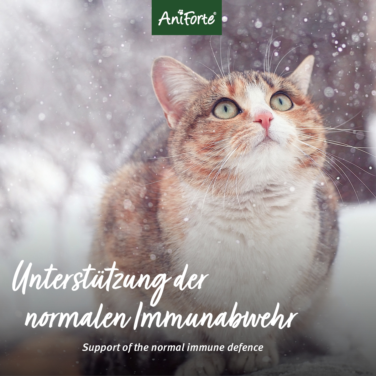 AniForte® Prémiové Kolostrum – Obrázok 5