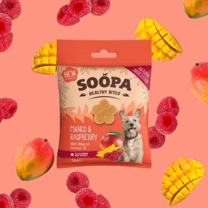SOOPA Zdravé maškrty s mangom a malinou 50g