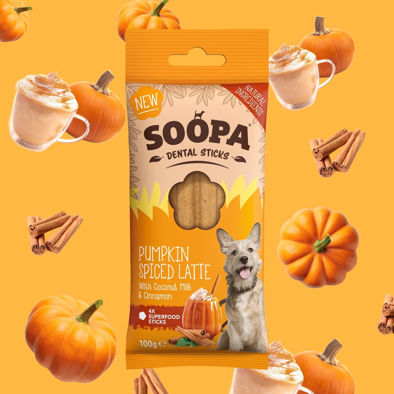 SOOPA Dentálne tyčinky s tekvicovým korením v latte 100g