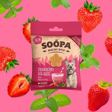 SOOPA Zdravé maškrty jahodové Dog-Quiri 50g